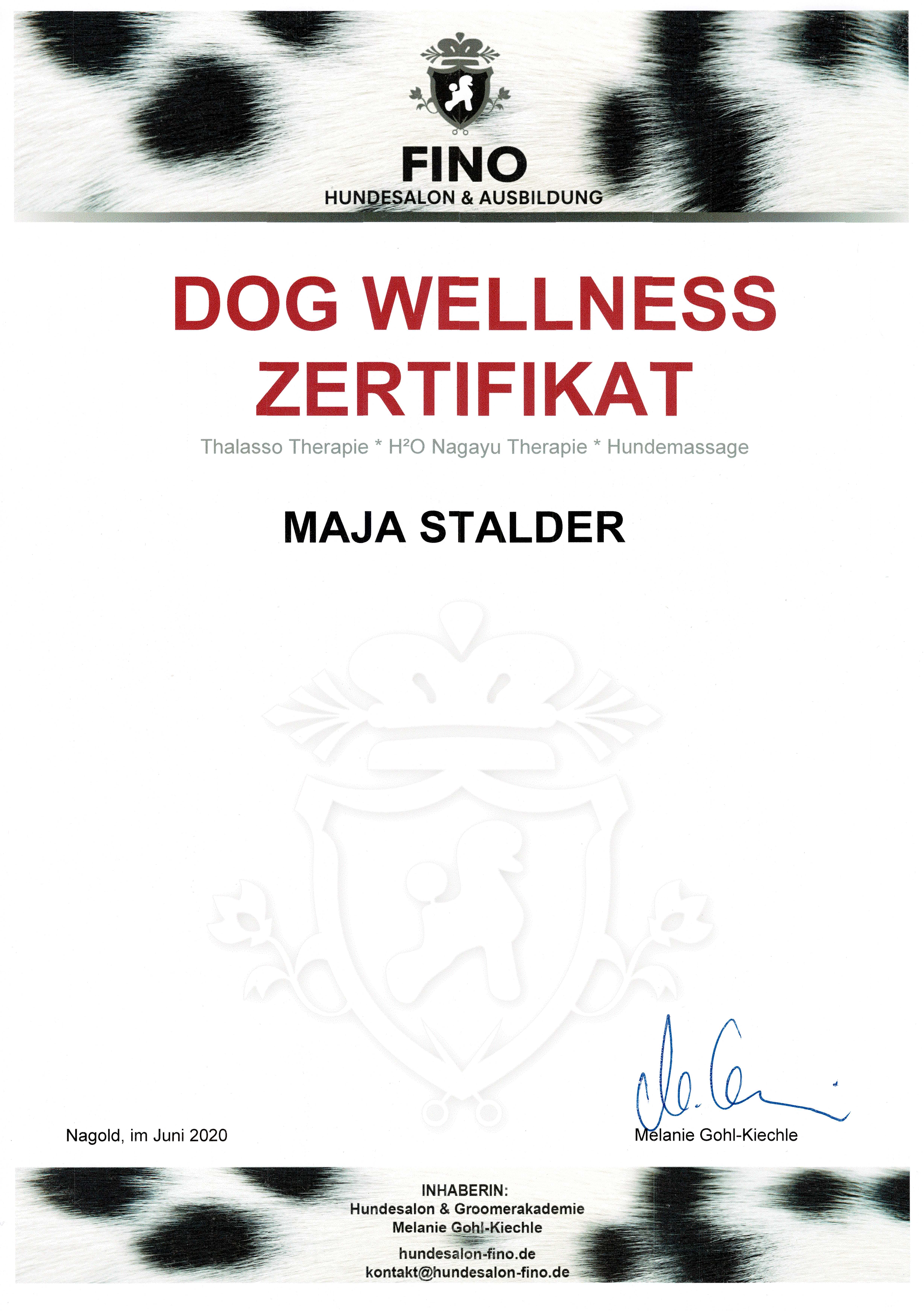 Dog Wellness Zertifikat